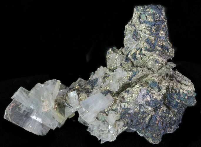 Blue Barite and Pyrite Association - Morocco #64377